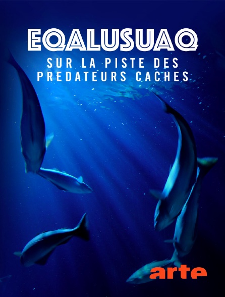 Arte - Eqalusuaq, sur la piste des prédateurs cachés