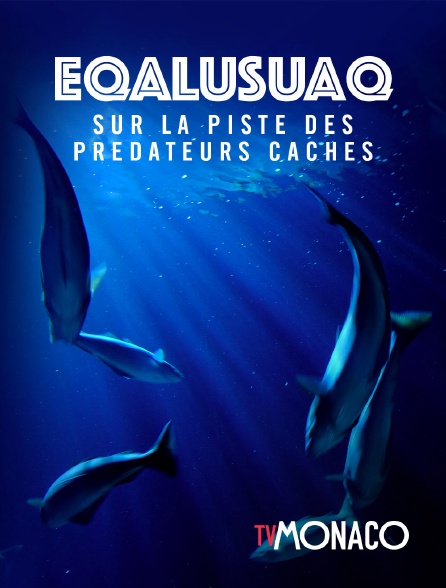 TV Monaco - Eqalusuaq, sur la piste des prédateurs cachés