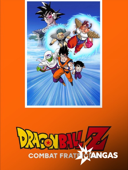 MANGAS - Dragon Ball Z : le combat fratricide
