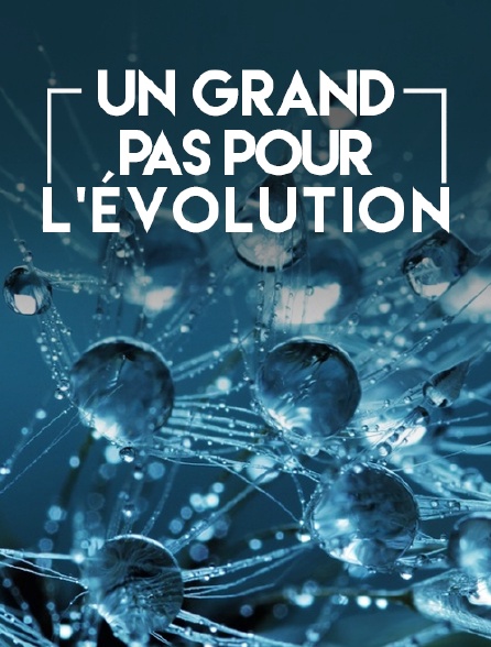 Un grand pas pour l'évolution