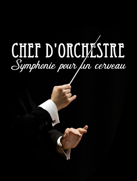 Chef d'orchestre, symphonie pour un cerveau