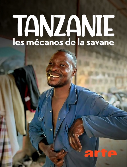 Arte - Tanzanie : Les mécanos de la savane