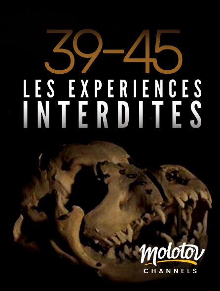 Mango - 39/45 Les expériences interdites