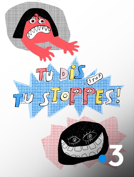 France 3 - Tu dis, tu stoppes !