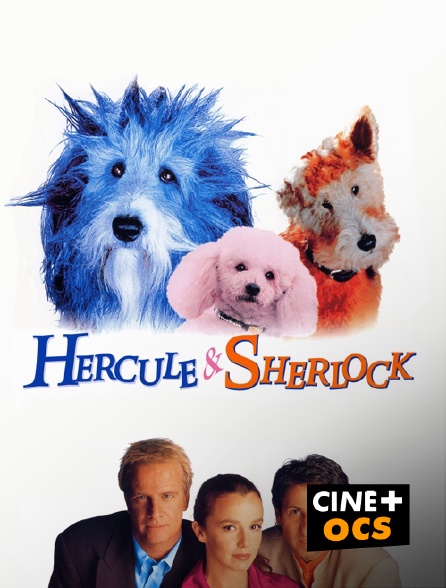 CINÉ Cinéma - Hercule & Sherlock