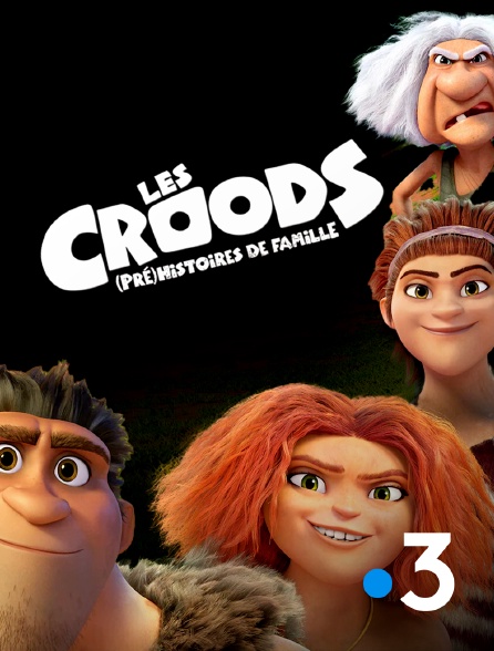 France 3 - Les Croods : (Pré)histoires de famille