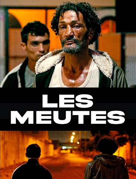 Les meutes