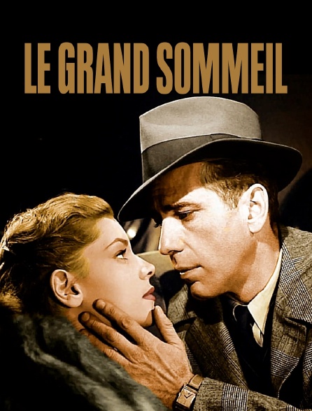 Le grand sommeil