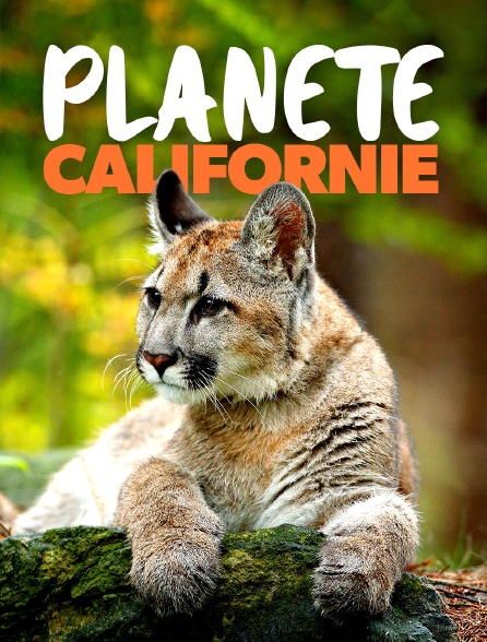 Planète Californie