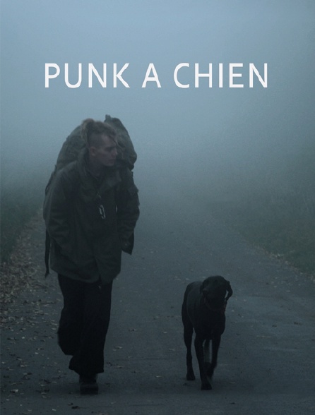 Punk à chien