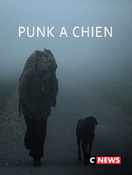 CNEWS - Punk à chien