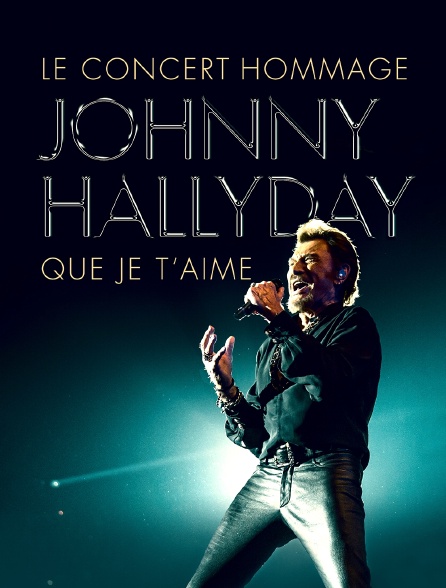 Johnny Hallyday : Que je t'aime
