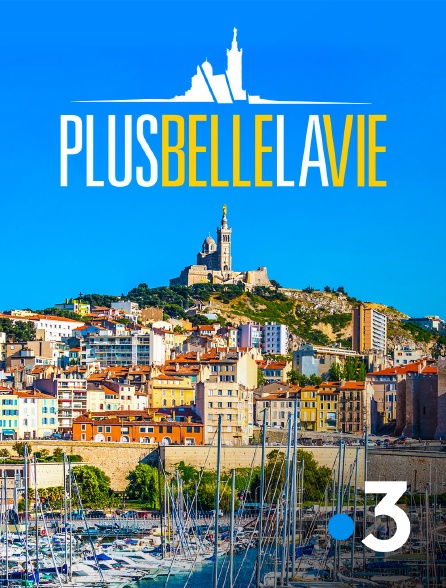 plus belle la vie en streaming replay sur france 3 molotov tv