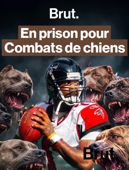 Brut - Michael Vick : star du football américain en prison pour des combats de chiens