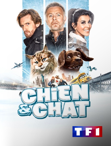 TF1 - Chien & chat