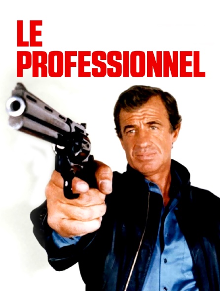 Le professionnel