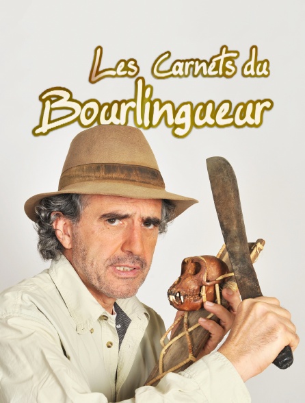 Les carnets du bourlingueur