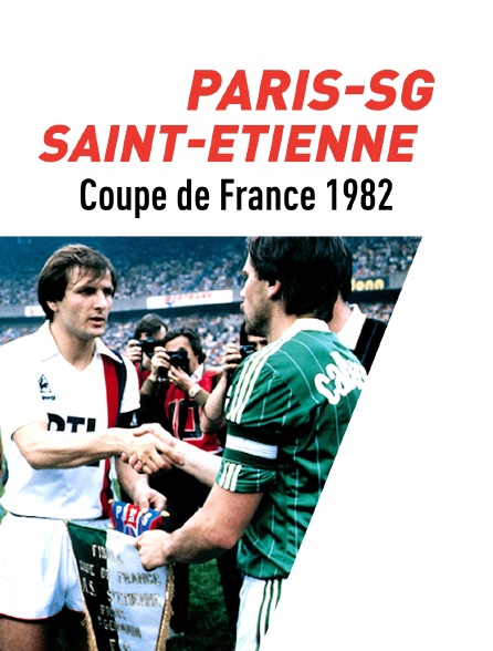 Football - Coupe de France - La Finale : Paris SG / Saint-Etienne