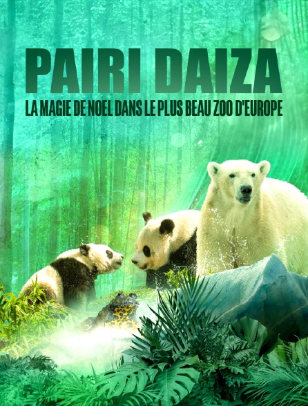 Pairi Daiza : la magie de Noël dans le plus beau zoo d'Europe