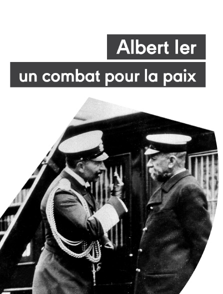 Albert Ier, un combat pour la paix