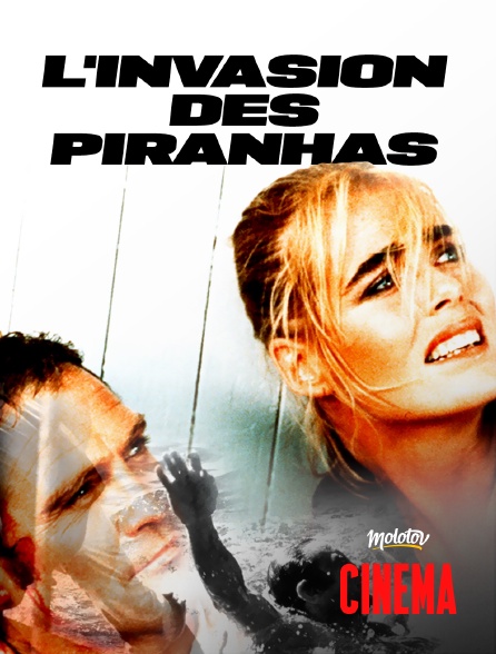 Molotov Channels Cinéma - L'invasion des piranhas