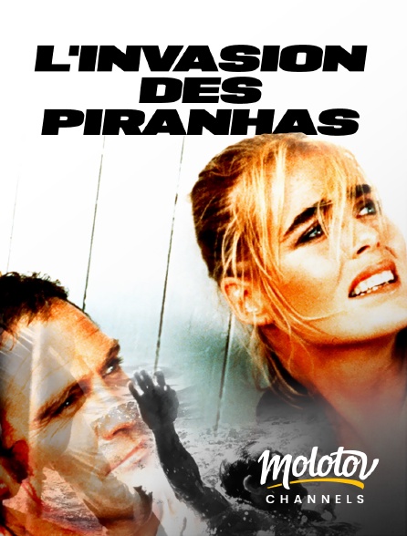 Molotov channels - L'invasion des piranhas