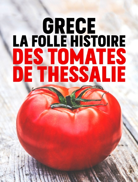 Grèce : La folle histoire des tomates de Thessalie