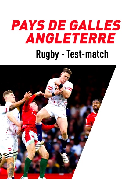 Rugby - Test-match : Pays de Galles / Angleterre