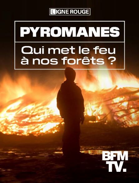 BFMTV - Pyromanes, qui met le feu à nos forêts ?