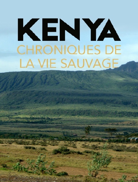 Kenya, chroniques de la vie sauvage
