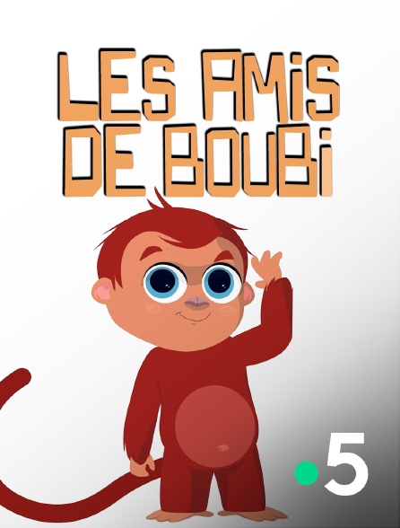France 5 - Les Amis de Boubi