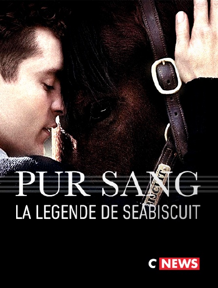 CNEWS - Pur-sang, la légende de Seabiscuit