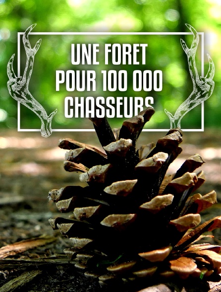 Une forêt pour 100 000 chasseurs