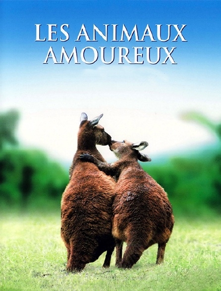 Les animaux amoureux