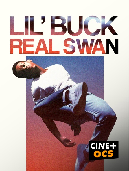 CINÉ Cinéma - Lil' Buck : Real Swan