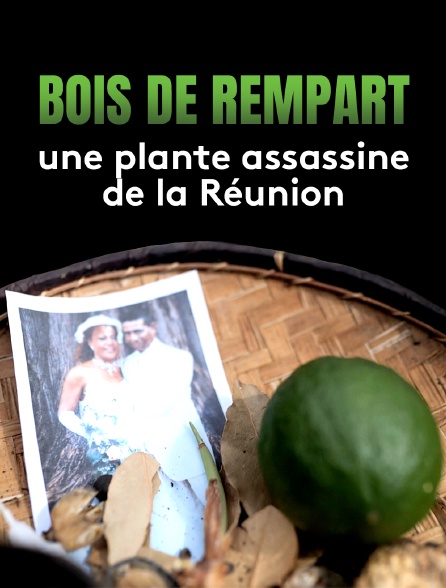 Bois de rempart, une plante assassine de la Réunion