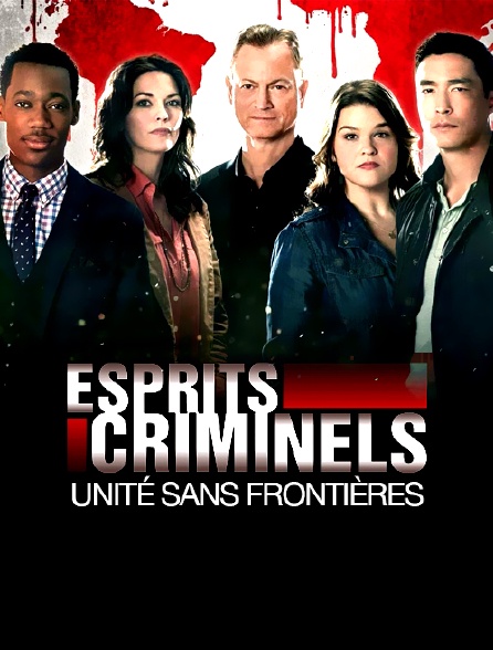 Esprits criminels : unité sans frontières