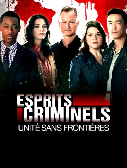 Esprits criminels : unité sans frontières en Streaming 