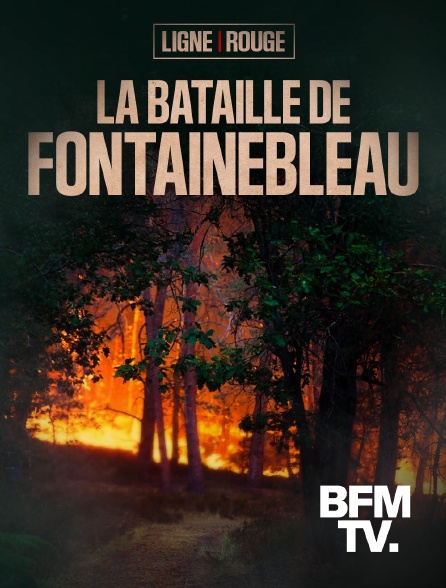 BFMTV - Incendie: la bataille de Fontainebleau
