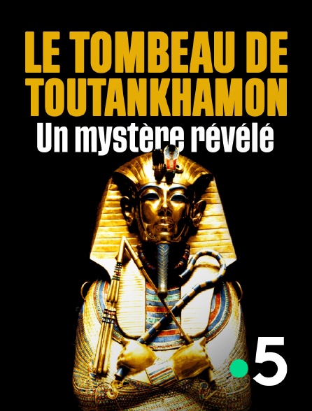 France 5 - Le tombeau de Toutankhamon, un mystère révélé