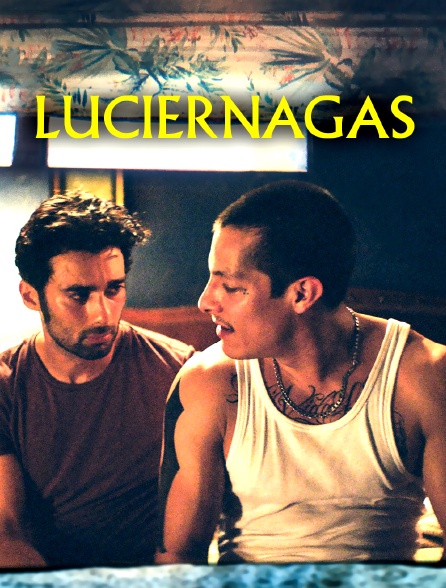 Luciérnagas