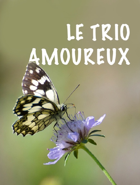 Le trio amoureux