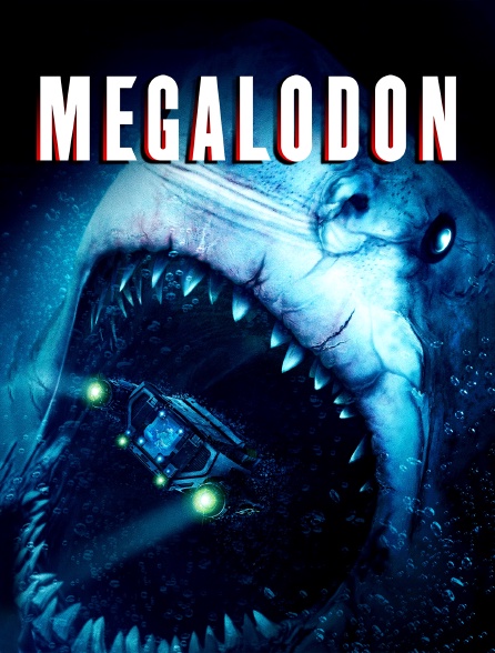 Megalodon