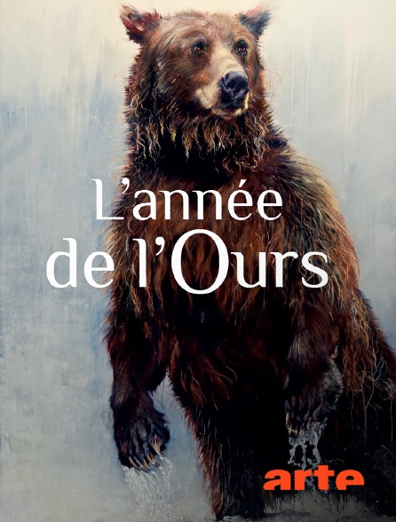 Arte - L'année de l'ours