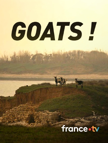 france.tv - Goats ! en replay
