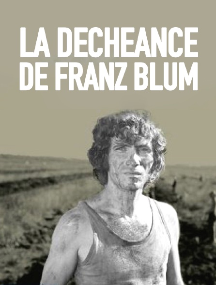 La déchéance de Franz Blum