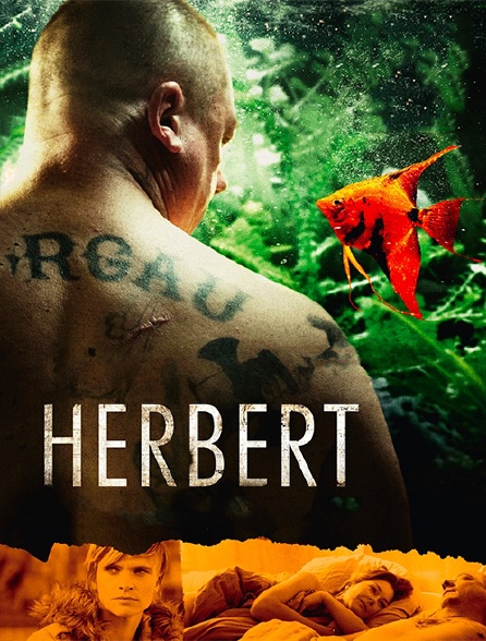 Herbert