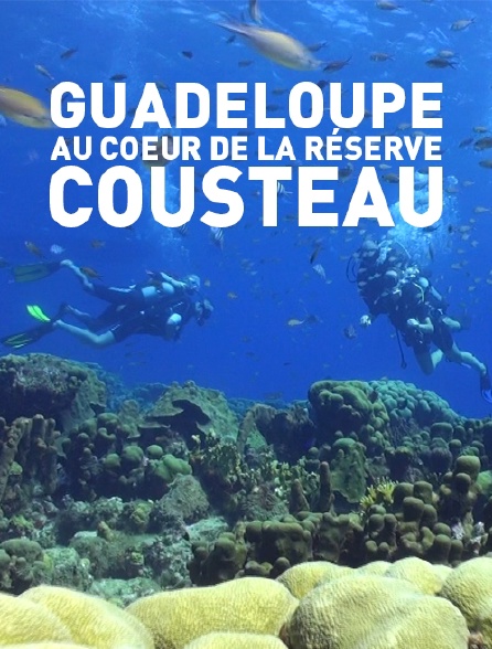 Guadeloupe, au coeur de la réserve Cousteau