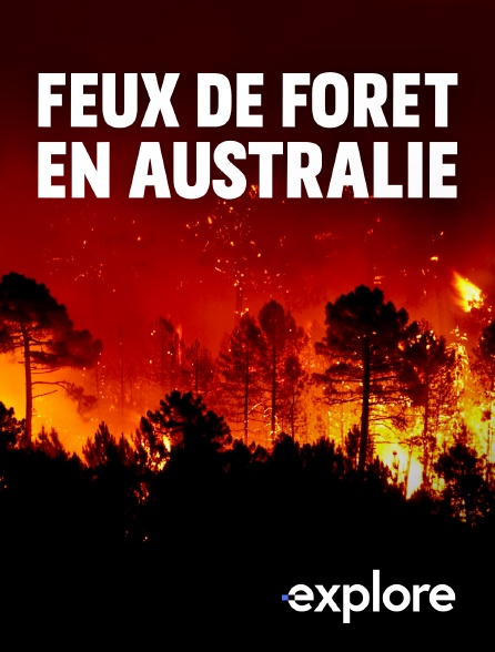 EXPLORE - Sauvetage dans le bush