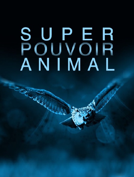 Super pouvoir animal